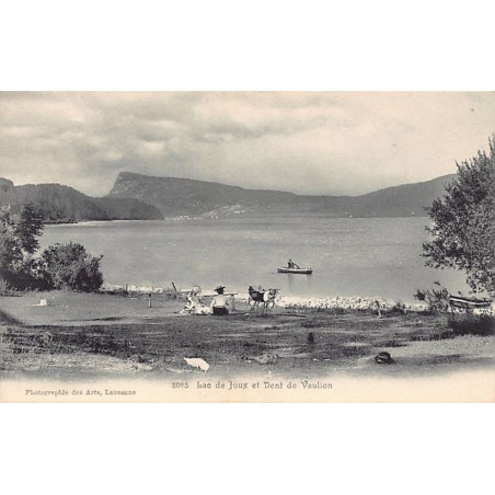 Rare collectable postcards of Switzerland. Vintage Postcards of Switzerland