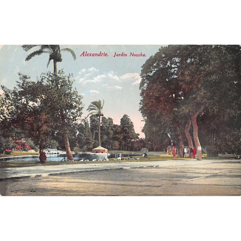 Rare collectable postcards of Egypt. Vintage Postcards of Egypt