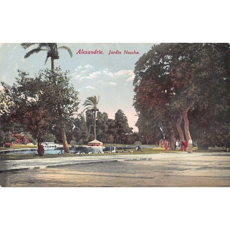 Rare collectable postcards of Egypt. Vintage Postcards of Egypt