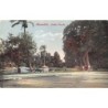 Rare collectable postcards of Egypt. Vintage Postcards of Egypt