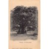 Rare collectable postcards of Madagascar. Vintage Postcards of Madagascar