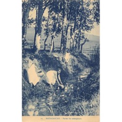 Rare collectable postcards of Madagascar. Vintage Postcards of Madagascar