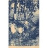 Rare collectable postcards of Madagascar. Vintage Postcards of Madagascar