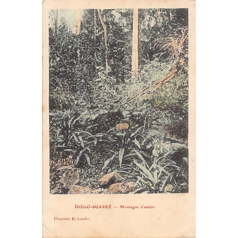 Rare collectable postcards of Madagascar. Vintage Postcards of Madagascar