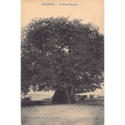 Rare collectable postcards of Madagascar. Vintage Postcards of Madagascar