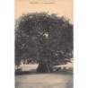 Rare collectable postcards of Madagascar. Vintage Postcards of Madagascar