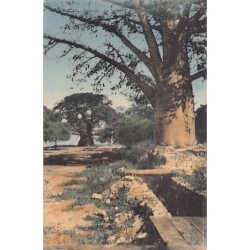 Rare collectable postcards of Madagascar. Vintage Postcards of Madagascar