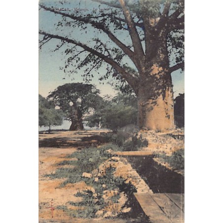 Rare collectable postcards of Madagascar. Vintage Postcards of Madagascar