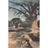 Rare collectable postcards of Madagascar. Vintage Postcards of Madagascar