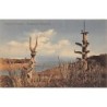 Rare collectable postcards of Madagascar. Vintage Postcards of Madagascar
