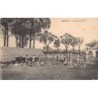 Rare collectable postcards of Madagascar. Vintage Postcards of Madagascar