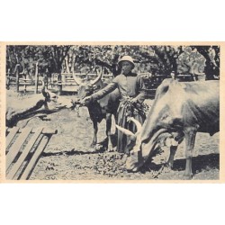 Rare collectable postcards of Madagascar. Vintage Postcards of Madagascar