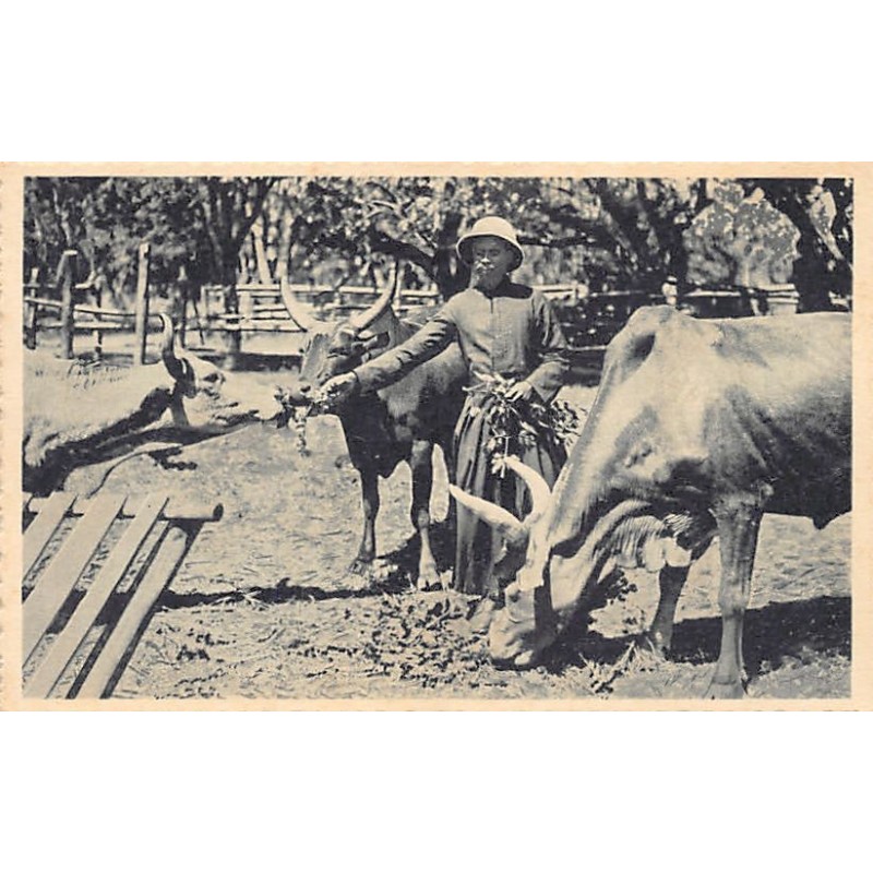 Rare collectable postcards of Madagascar. Vintage Postcards of Madagascar