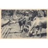 Rare collectable postcards of Madagascar. Vintage Postcards of Madagascar
