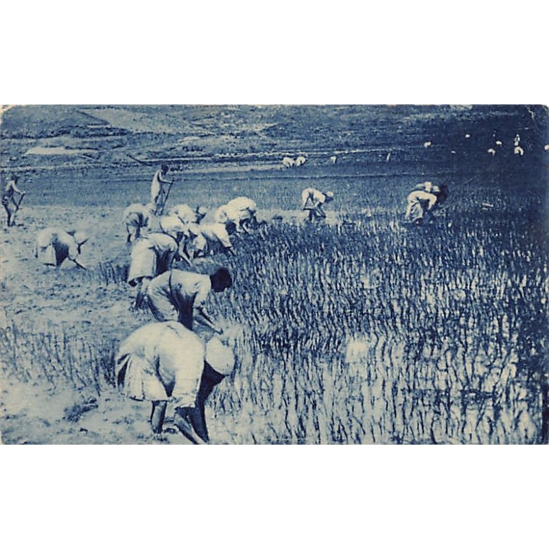 Rare collectable postcards of Madagascar. Vintage Postcards of Madagascar