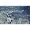 Rare collectable postcards of Madagascar. Vintage Postcards of Madagascar