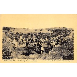 Rare collectable postcards of Madagascar. Vintage Postcards of Madagascar