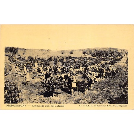 Rare collectable postcards of Madagascar. Vintage Postcards of Madagascar