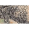 Rare collectable postcards of Madagascar. Vintage Postcards of Madagascar