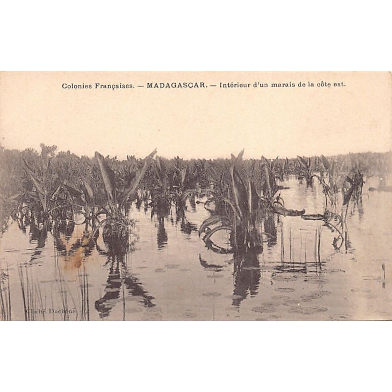 Rare collectable postcards of Madagascar. Vintage Postcards of Madagascar