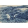 Rare collectable postcards of Madagascar. Vintage Postcards of Madagascar