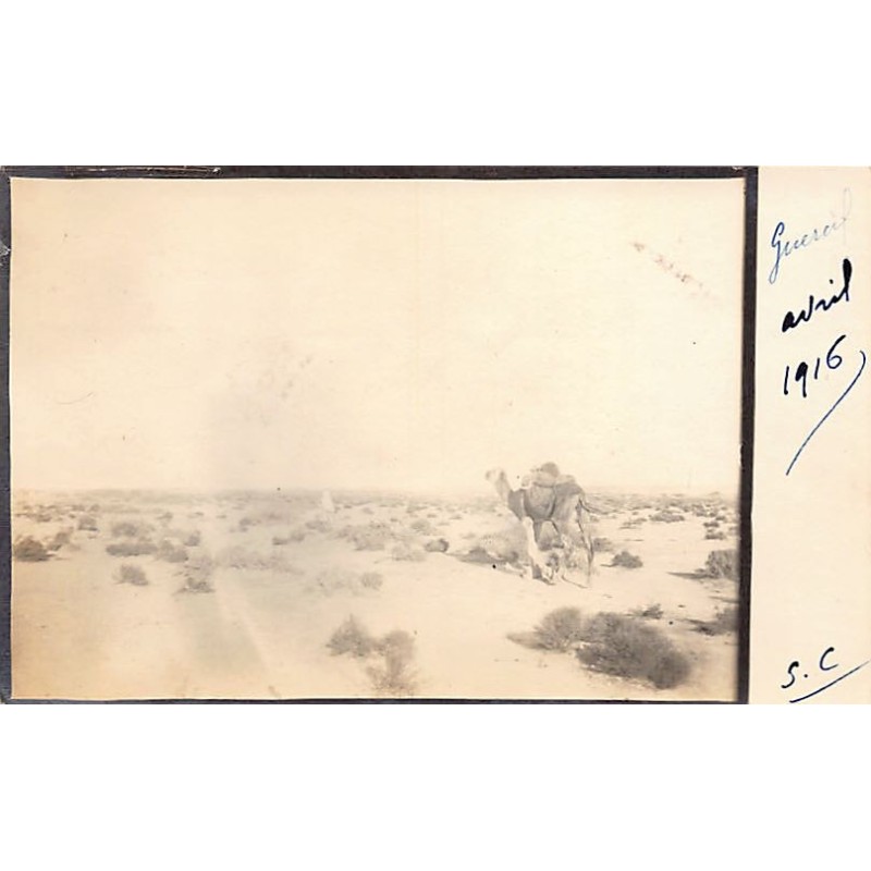 Rare collectable postcards of Morocco. Vintage Postcards of Morocco