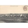 Rare collectable postcards of Morocco. Vintage Postcards of Morocco
