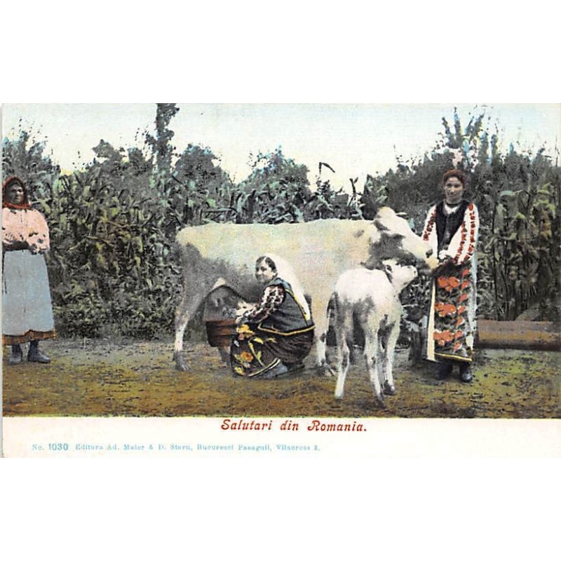 Rare collectable postcards of ROMANIA. Vintage Postcards of ROMANIA
