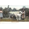 Rare collectable postcards of ROMANIA. Vintage Postcards of ROMANIA