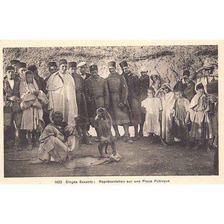 Rare collectable postcards of Morocco. Vintage Postcards of Morocco