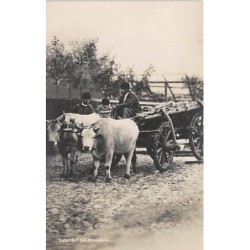 Rare collectable postcards of ROMANIA. Vintage Postcards of ROMANIA
