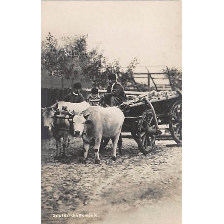 Rare collectable postcards of ROMANIA. Vintage Postcards of ROMANIA