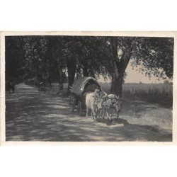 Rare collectable postcards of ROMANIA. Vintage Postcards of ROMANIA