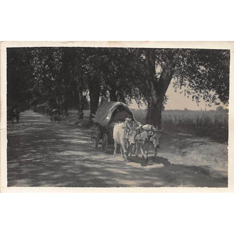 Rare collectable postcards of ROMANIA. Vintage Postcards of ROMANIA