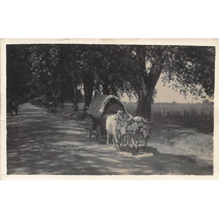 Rare collectable postcards of ROMANIA. Vintage Postcards of ROMANIA