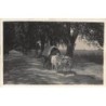 Rare collectable postcards of ROMANIA. Vintage Postcards of ROMANIA
