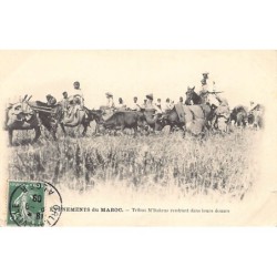 Rare collectable postcards of Morocco. Vintage Postcards of Morocco