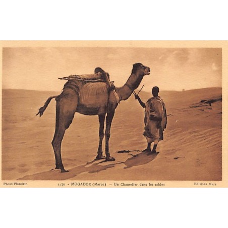 Rare collectable postcards of Morocco. Vintage Postcards of Morocco