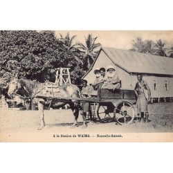 Rare collectable postcards of Papua New Guinea. Vintage Postcards of Papua New Guinea