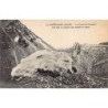 Rare collectable postcards of Martinique. Vintage Postcards of Martinique