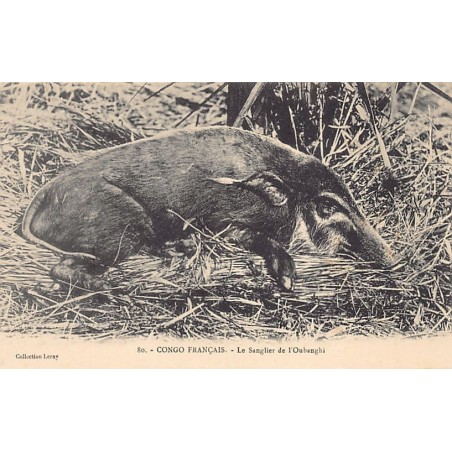 Rare collectable postcards of Central African Republic. Vintage Postcards of Central African Republic