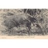 Rare collectable postcards of Central African Republic. Vintage Postcards of Central African Republic