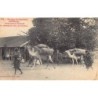 Rare collectable postcards of Senegal. Vintage Postcards of Senegal