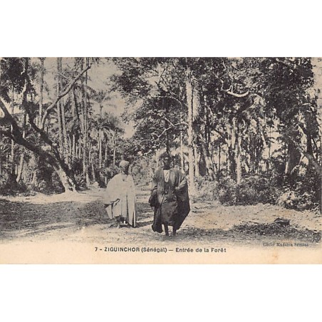 Rare collectable postcards of Senegal. Vintage Postcards of Senegal