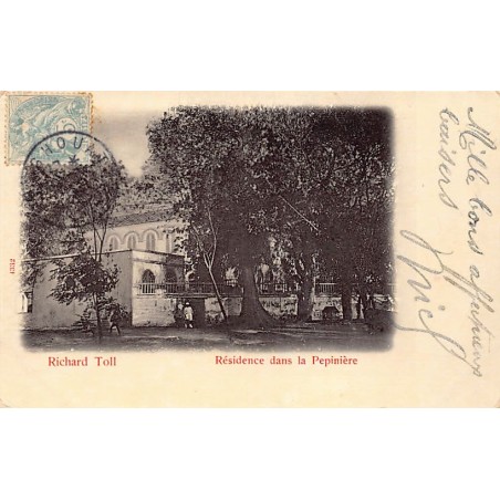 Rare collectable postcards of Senegal. Vintage Postcards of Senegal