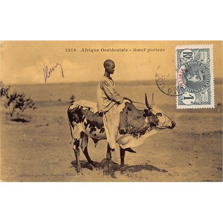 Rare collectable postcards of Senegal. Vintage Postcards of Senegal