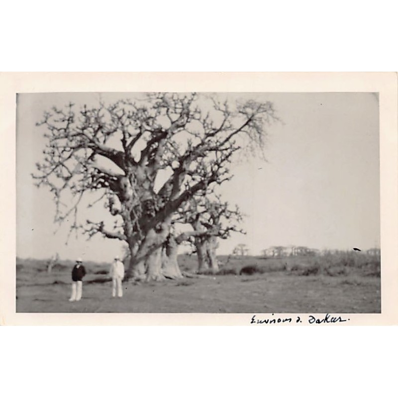 Rare collectable postcards of Senegal. Vintage Postcards of Senegal