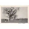 Rare collectable postcards of Senegal. Vintage Postcards of Senegal
