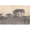 Rare collectable postcards of Senegal. Vintage Postcards of Senegal
