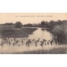 Rare collectable postcards of Senegal. Vintage Postcards of Senegal